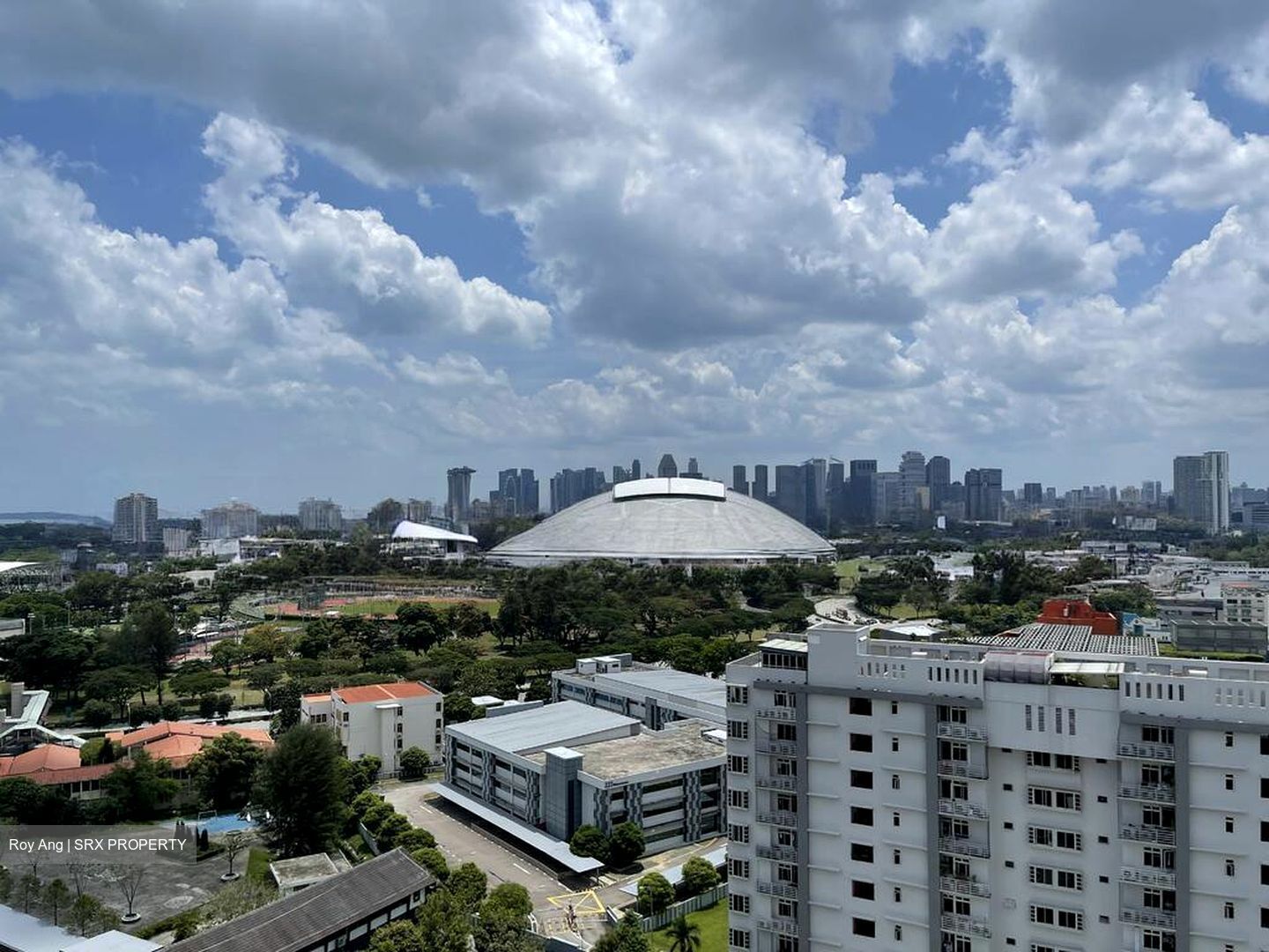 Arena Residences (D14), Apartment #499129811